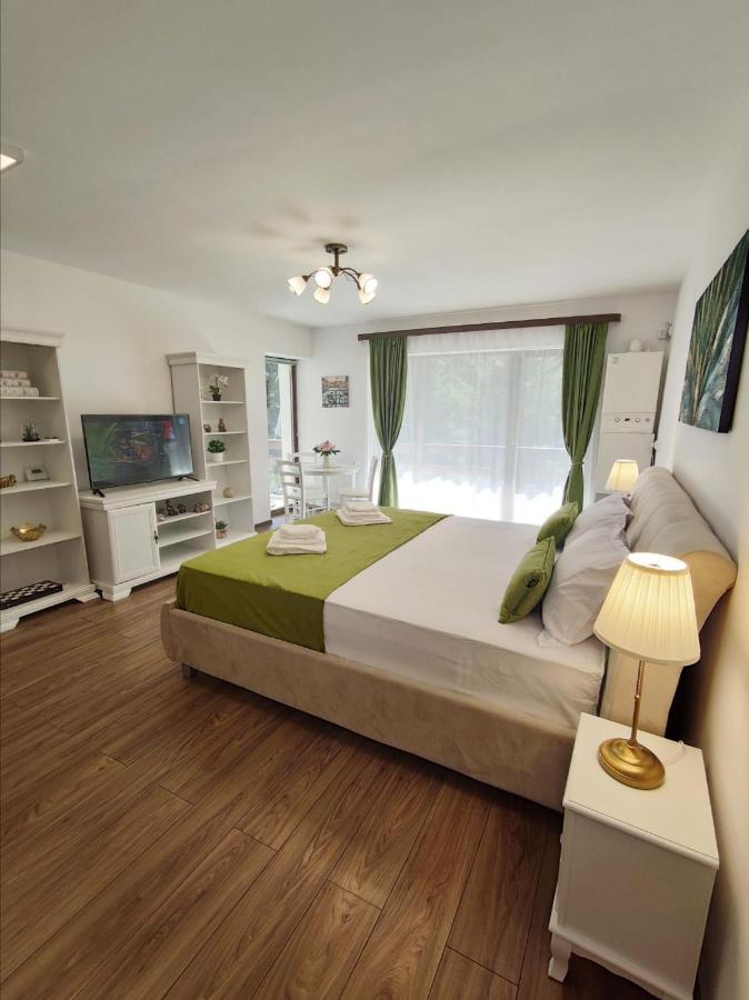 Green Studio Predeal Eksteriør billede